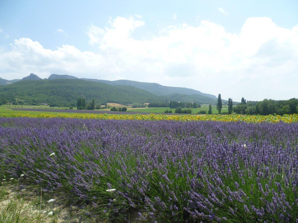 Pont-de-Barret Les Beaux Chenesヴィラ エクステリア 写真