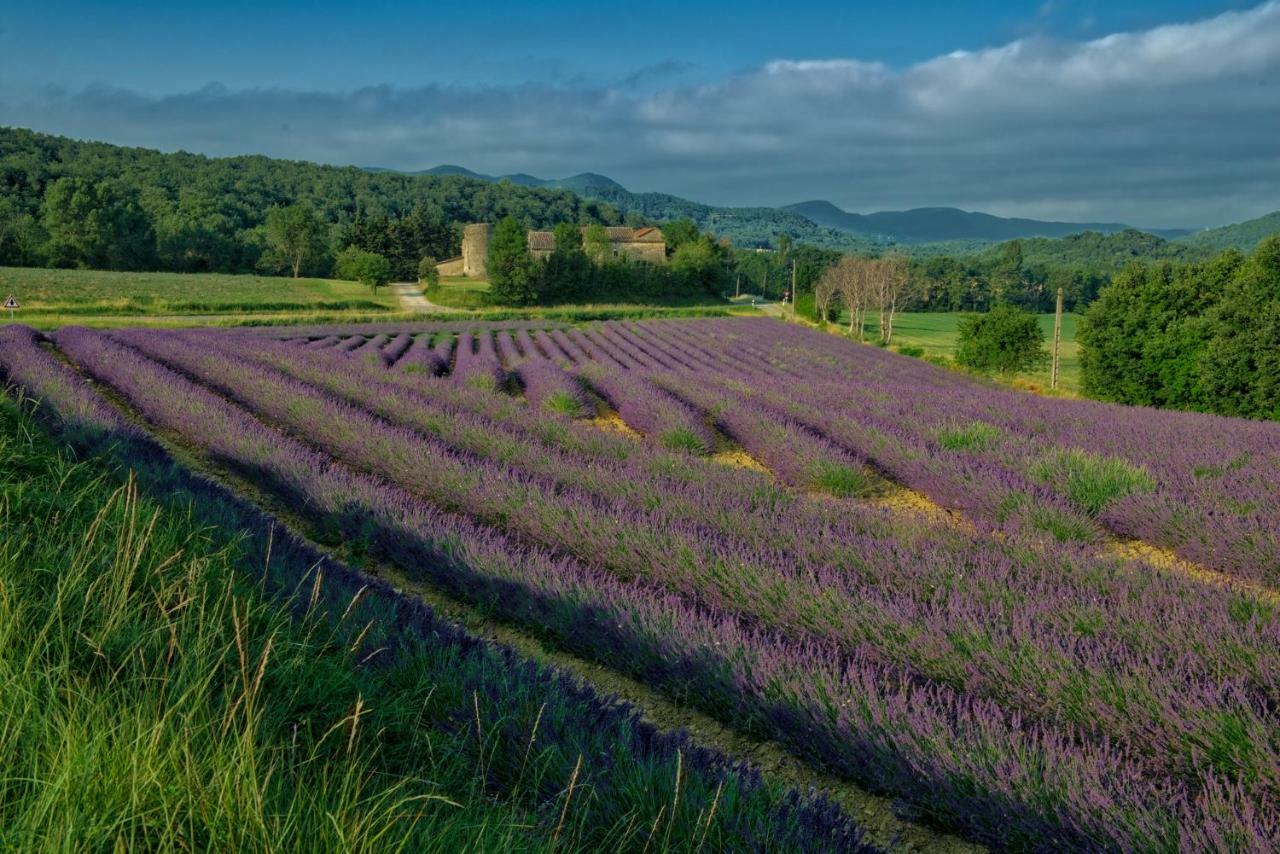 Pont-de-Barret Les Beaux Chenesヴィラ エクステリア 写真